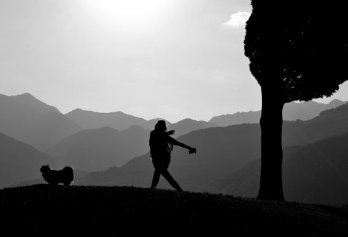 Ginnastica per la salute, il fitness e benessere basata su tecniche del Qi Gong Tai Chi